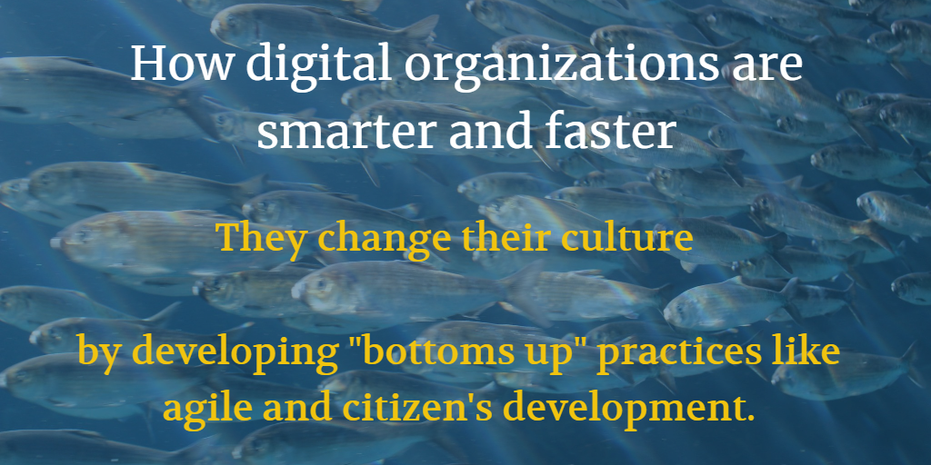 On Frankenarchitecture, DevOps, Strategic IT, and the Culture of Digital Transformation