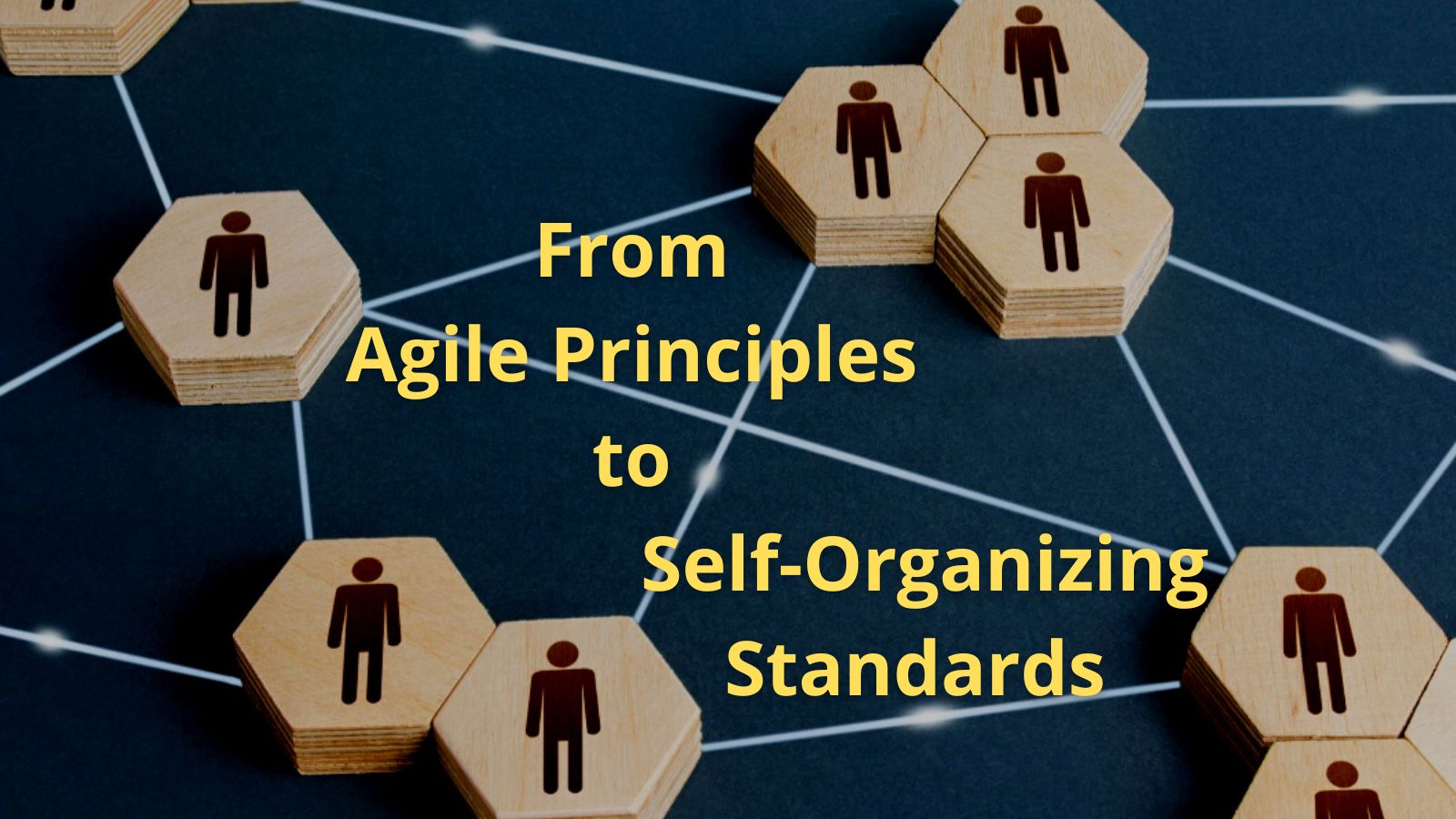 Commit to Simple Agile Principles and Collaborate on Meaningful Self-Organizing Standards