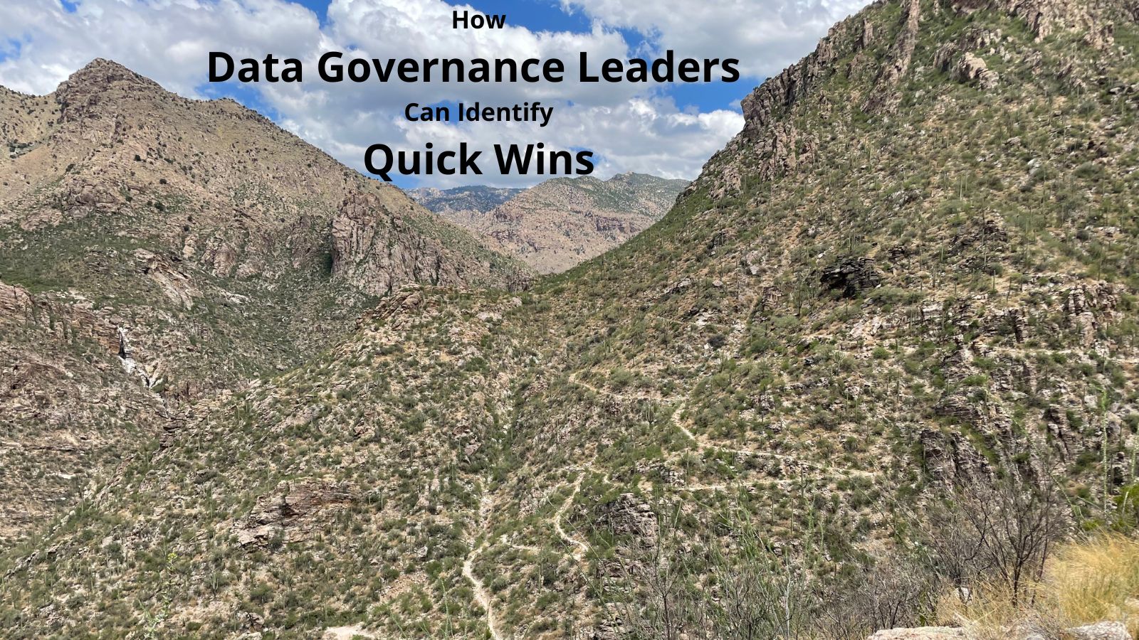 How Data Governance Leaders Can Identify Quick Wins