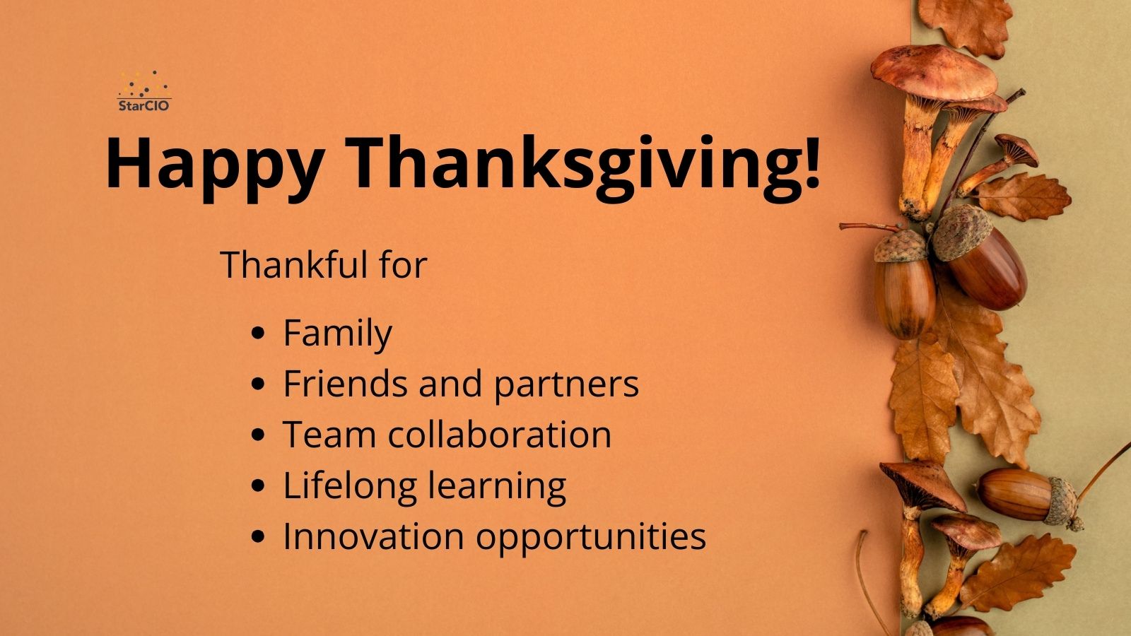 Grateful Digital Trailblazers Reflect on Innovation and Lifelong Learning