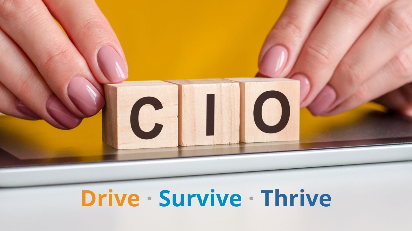 How to Drive Digital Transformation and Survive as Your Company’s First CIO